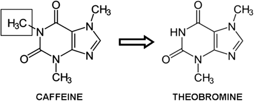 kofein a theobromin chemicke vzorce